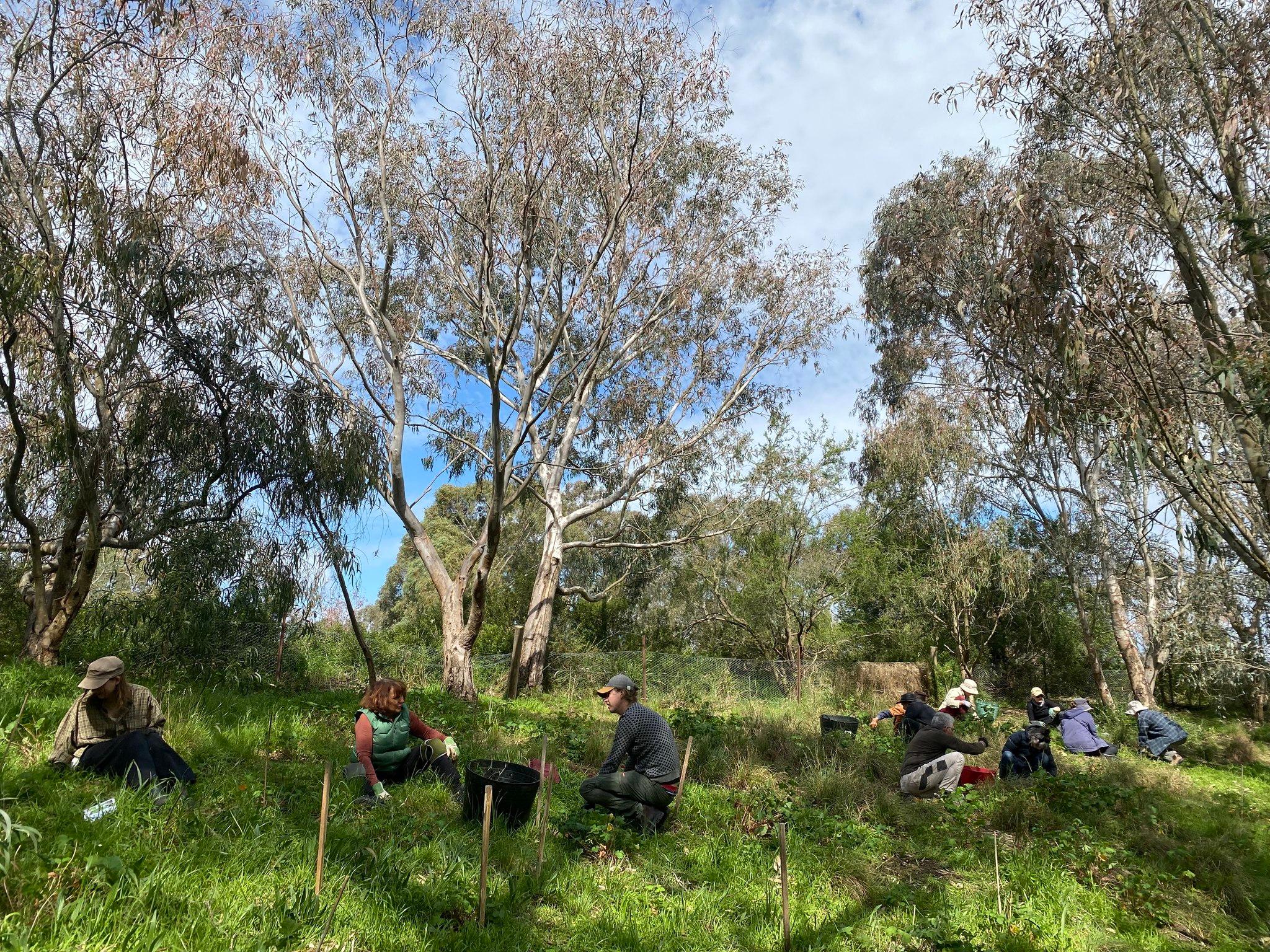 May be an image of 5 people, grass and tree